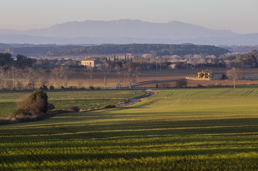 Vilademuls (Paissatge)