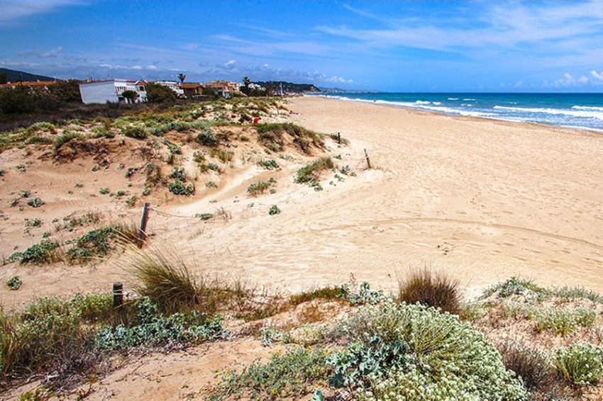 Creixell (Platja Del Gorg 2)