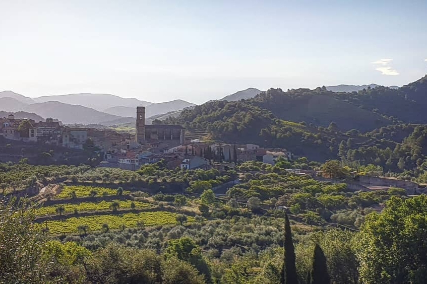 Poboleda (POBOLEDA 15)