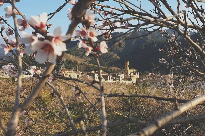 Poboleda (POBOLEDA 25)