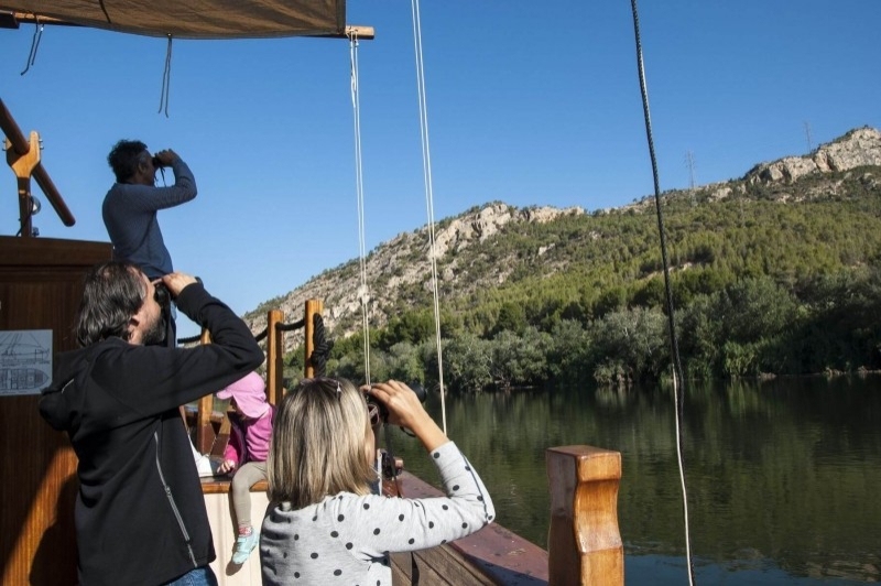 Ascó (Contempla Ocells A Asco)