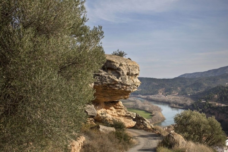 Ascó (Asco Paisatge)