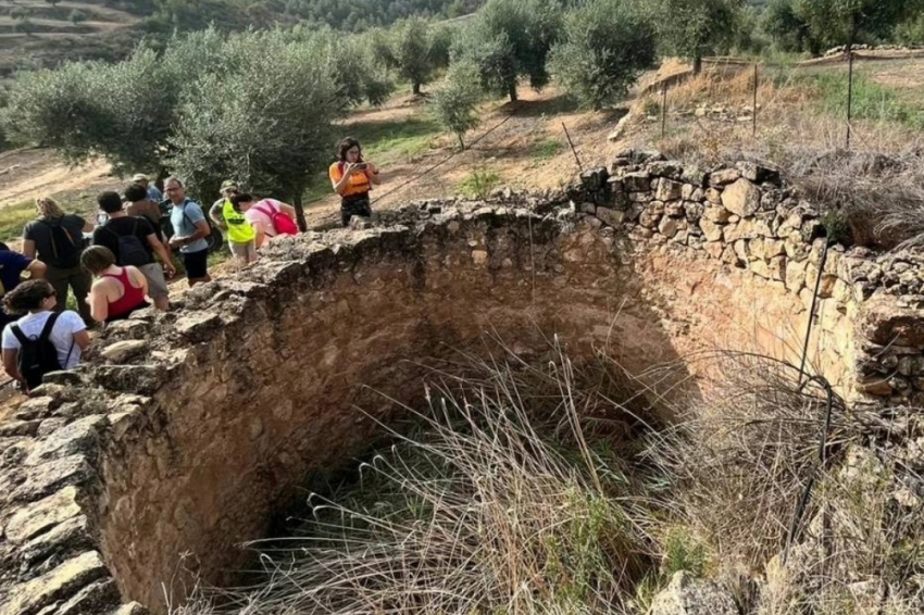 La Palma dEbre (Cami De Lembassament)