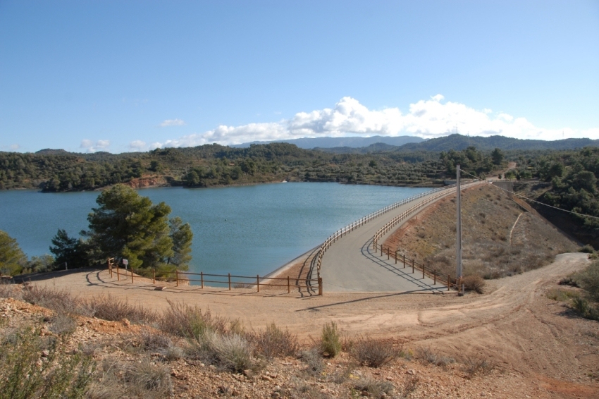 La Palma dEbre (Cami De Lembassament)