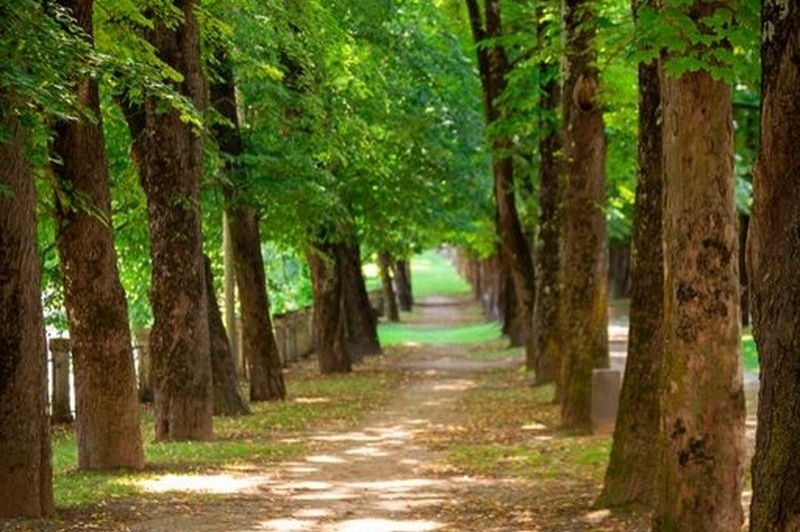 Camprodon (Camprodon)