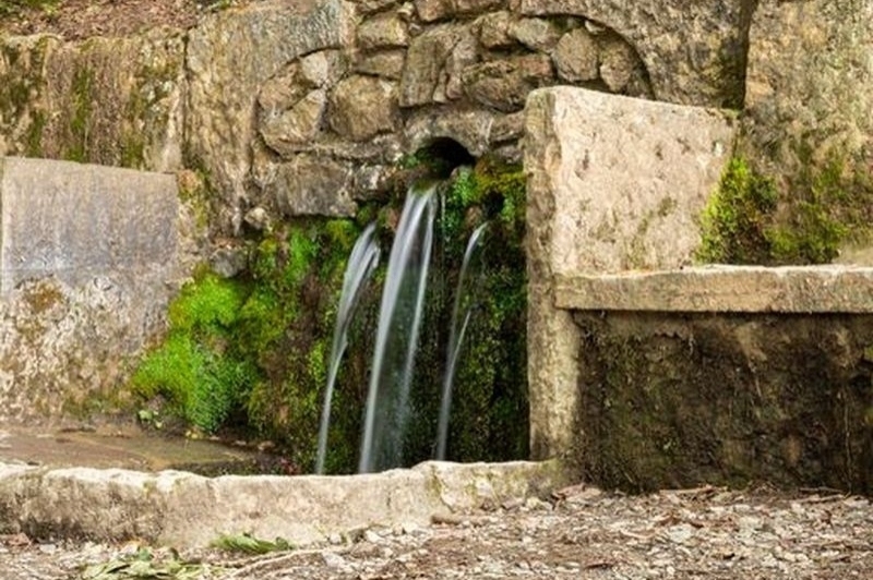 Camprodon (Camprodon)