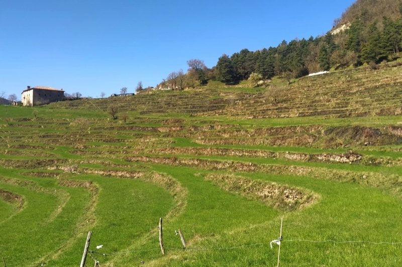 Les Llosses (Les Llosses)