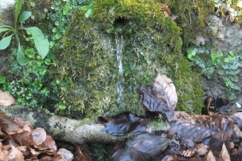 Les Llosses (Les Llosses)