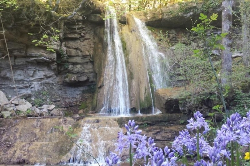 Vallfogona de Ripollès (Vallfogona )
