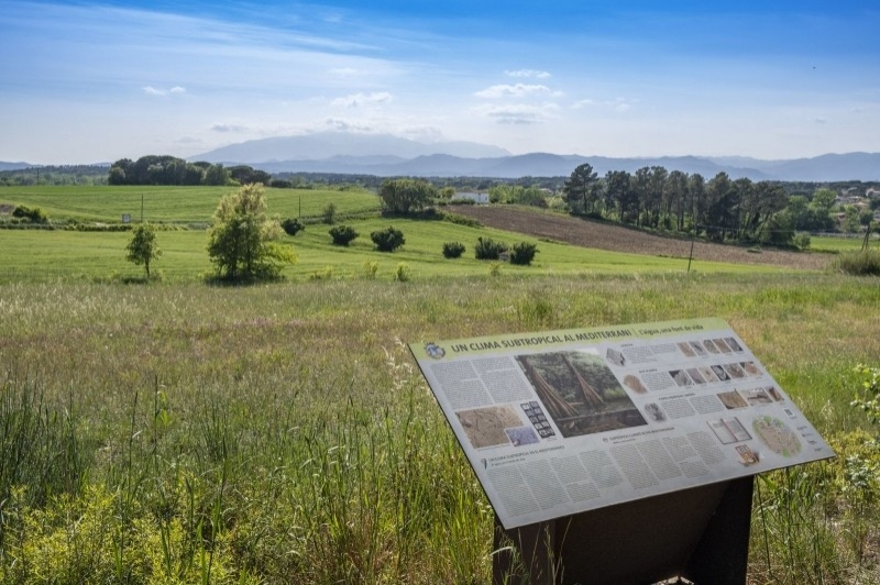 Caldes de Malavella (Camp Dels Ninots)