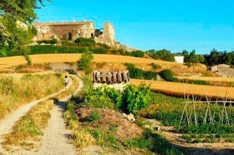 Sant Guim de Freixenet (Horts)