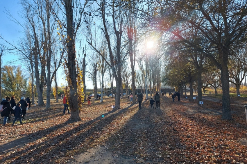 Aitona (Parc Aitona)