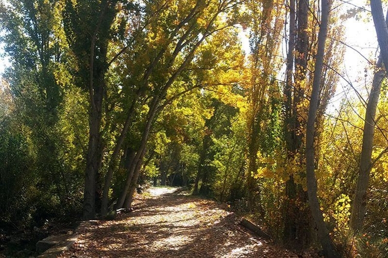 Alfarràs (Cami Rural)