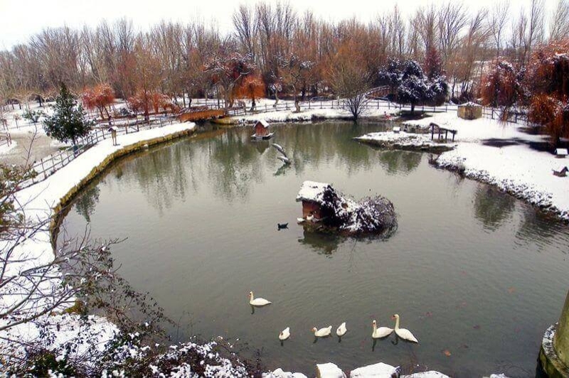 Corbins (Llac Nevat)