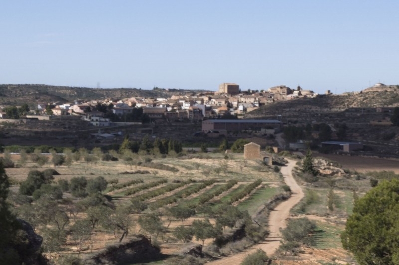 Torrebesses (General)