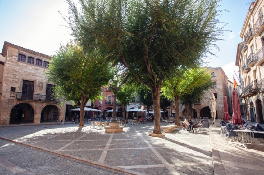 Montblanc (Placa Major)