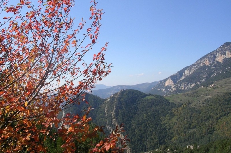 Odèn (El Sincinal DOden)