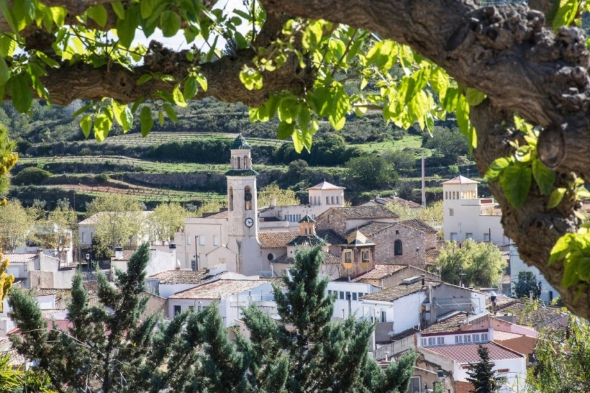 Salomó (Vista Poble)