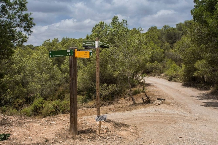 Salomó (Ruta Saludable)