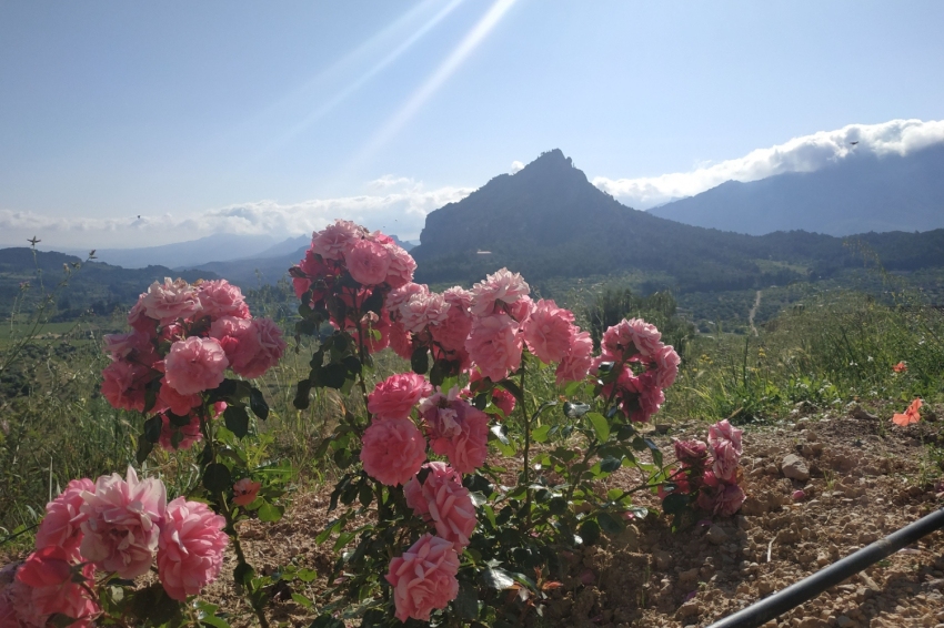 Horta de Sant Joan (Muntanya StaBarbara_1)