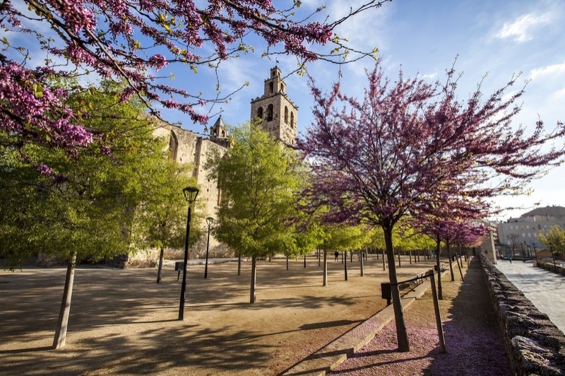Sant Cugat del Vallès (MONESTIR 3 AJ SANT CUGAT_MANE ESPINOSA 1)