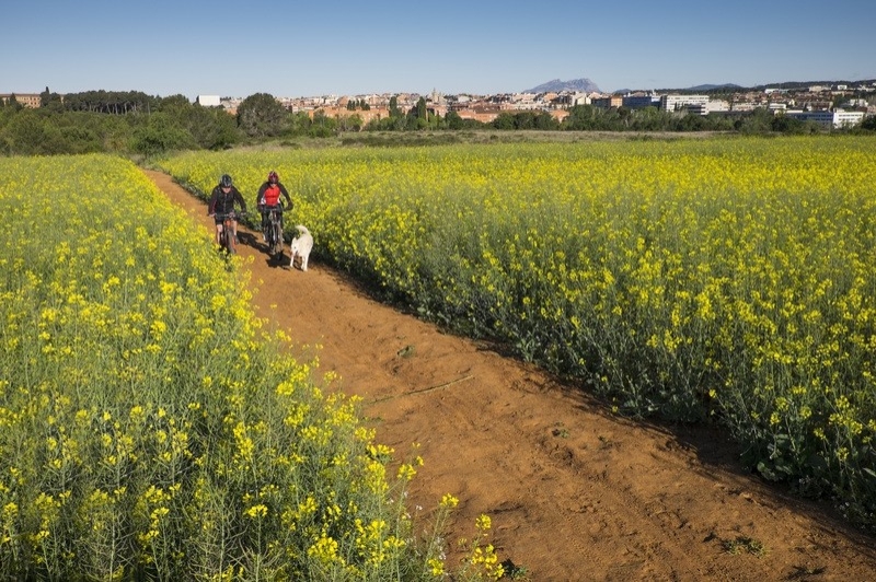 Sant Cugat del Vallès (P.COLLSEROLA AJ SANT CUGAT_MANE ESPINOSA 1_)