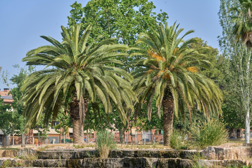 Sant Quirze del Vallès (Sant Quirze Del Valles)