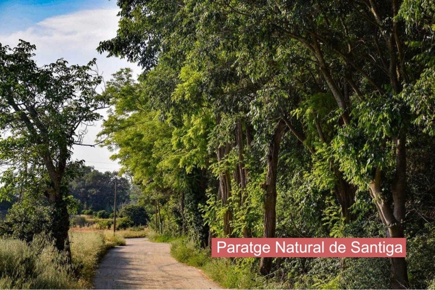 Santa Perpètua de Mogoda (Paratge Natural De Santiga)