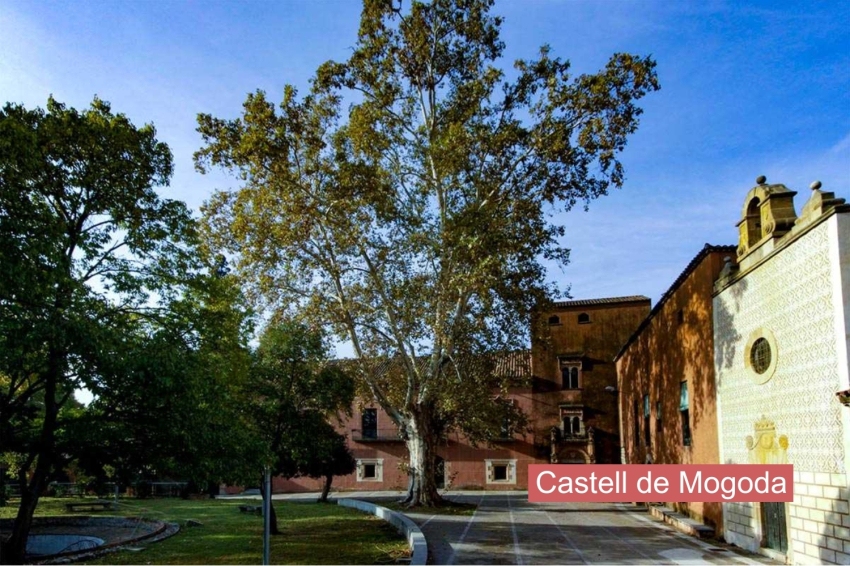 Santa Perpètua de Mogoda (Castell De Mogoda)