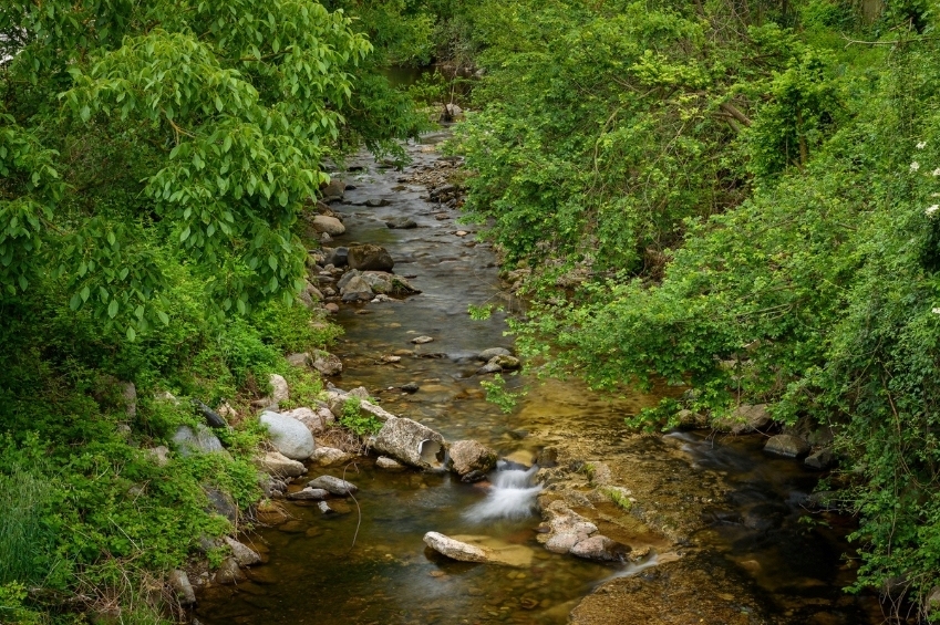 Aiguafreda (Fotos Aiguafreda)