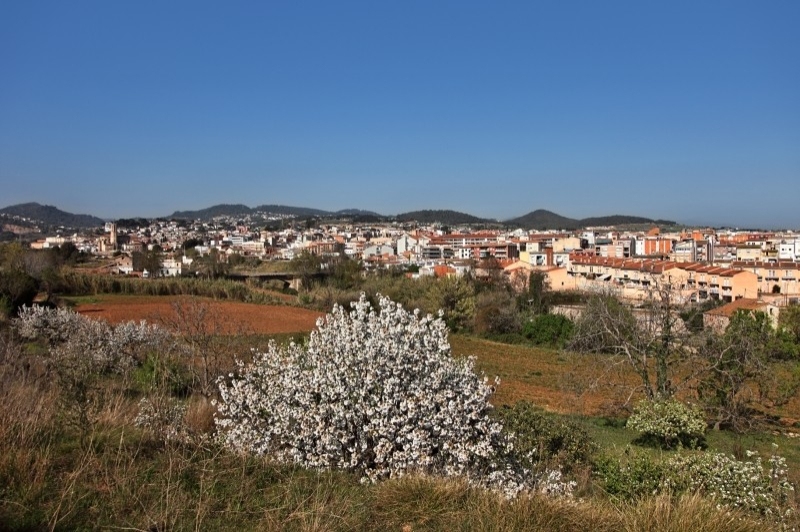 Caldes de Montbui (Panoramica)