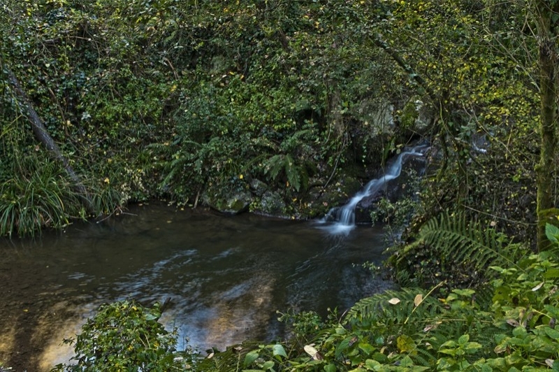 Figaró-Montmany (La Riereta)