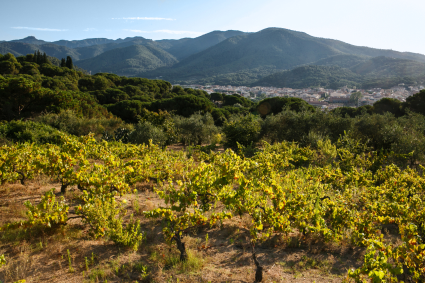 La Garriga (Sender La Doma)