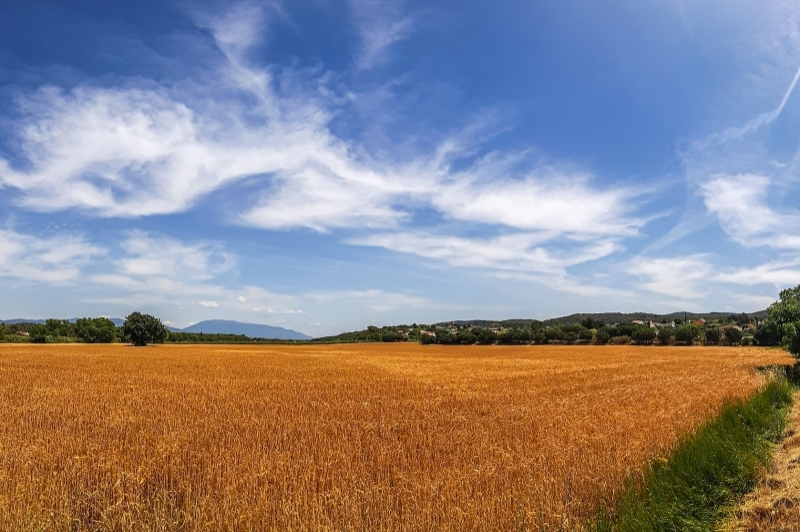 La Roca del Vallès (La Roca Del Valles)