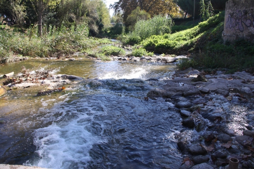 Lliçà dAmunt (Riu)
