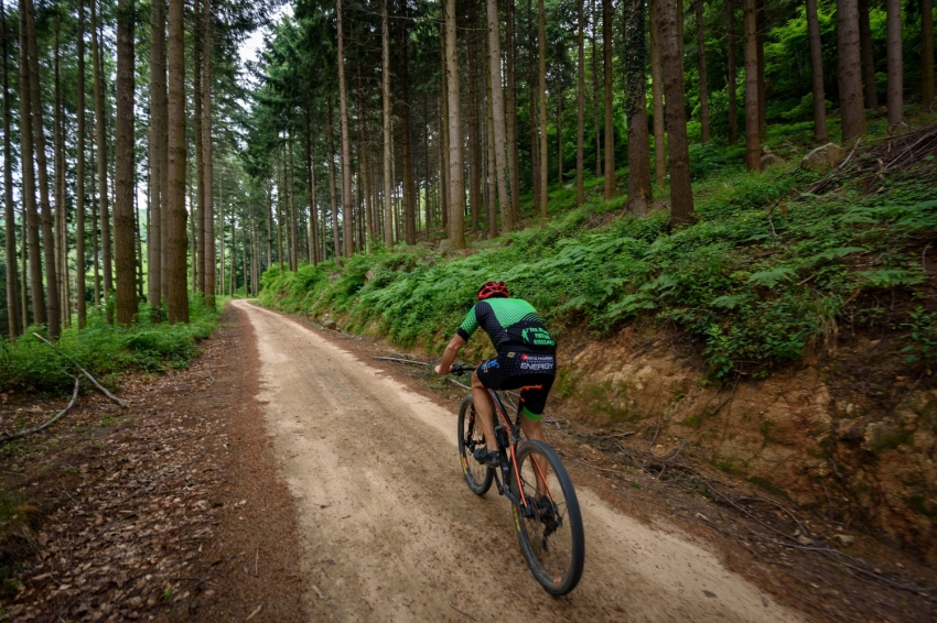 Montseny (Ciclista Pedalant Al Bosc Prop De Coll De Te Del Montseny)