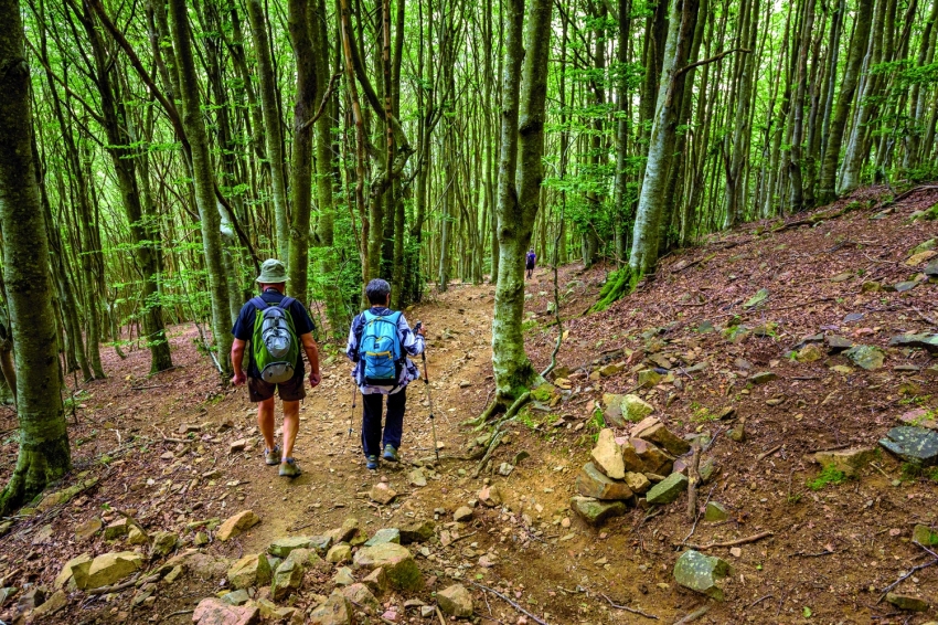 Montseny (Senderisme Al Monsteny)