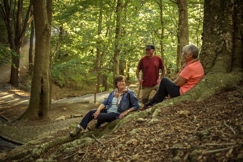 Montseny (De Ruta Pel Montseny)