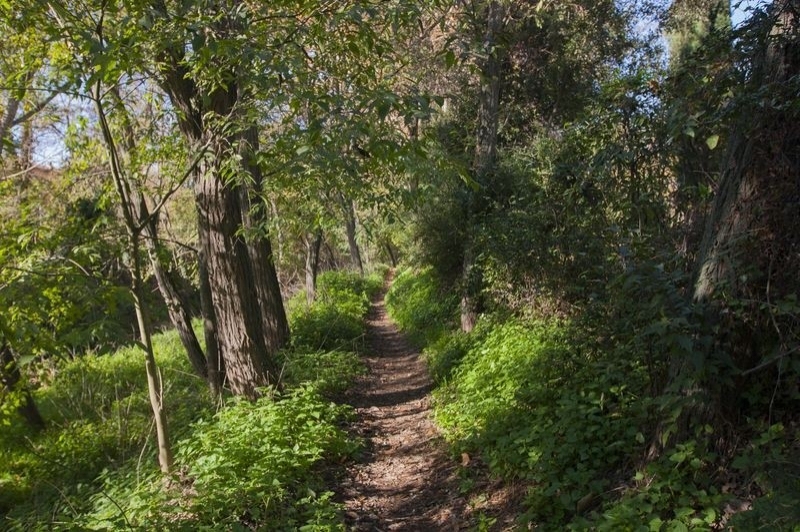 Sant Celoni (Maribaus)