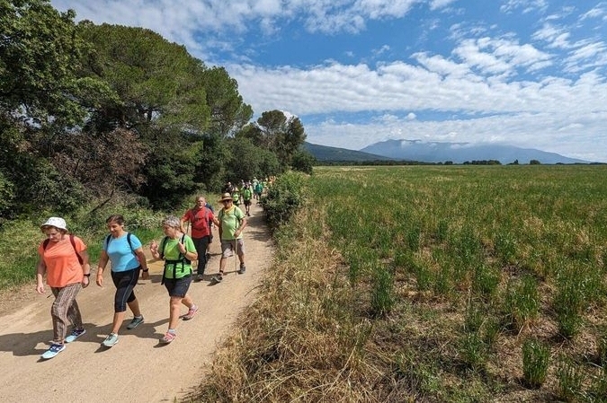 Sant Pere de Vilamajor (Sant Pere De Vilamajor 20)