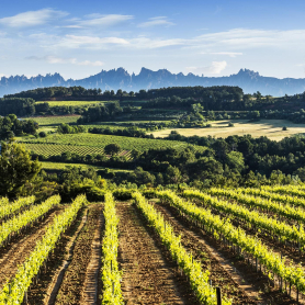 Sant Llorenç d'Hortons