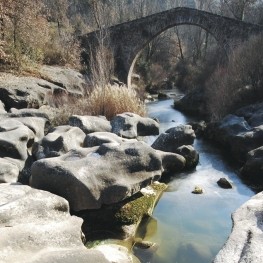 Santa Maria de Merlès