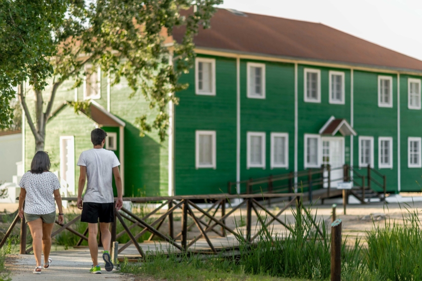 Delta de l'Ebre, la natura en estat pur