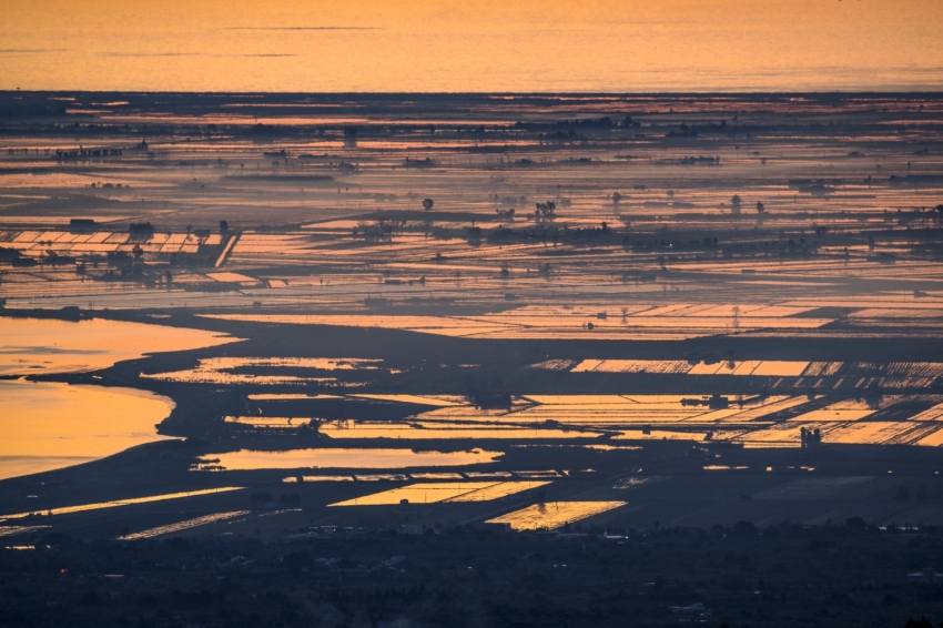 Delta de l'Ebre, la natura en estat pur