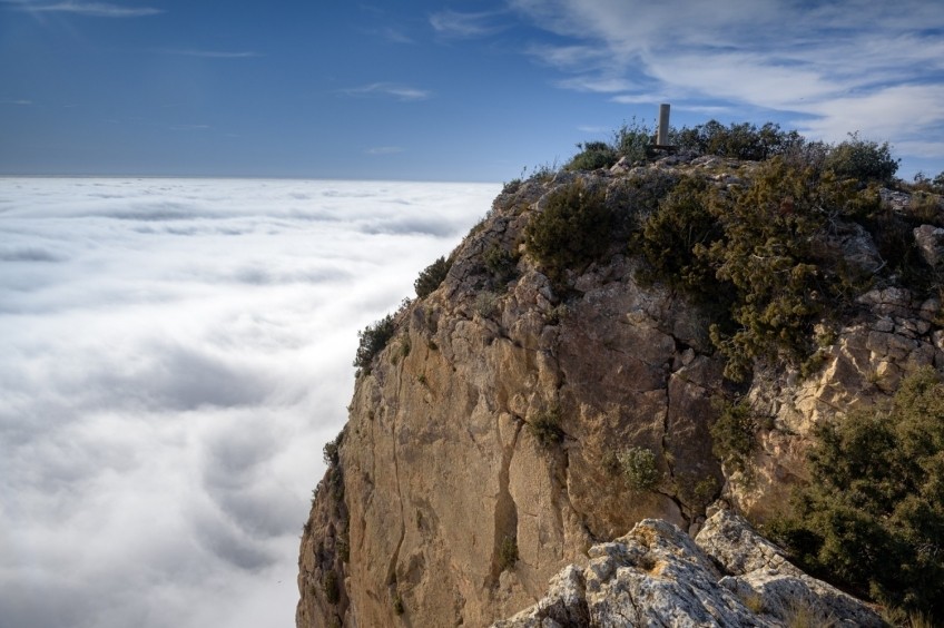 Pala Alta from the Virgin of Montalegre