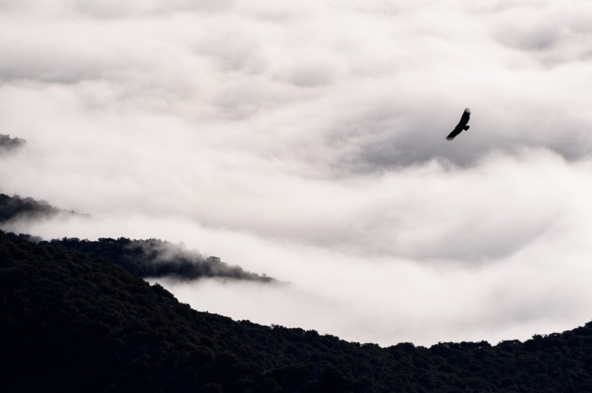 Sommet de Sant Alís dans la Sierra del Montsec