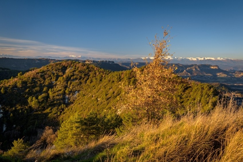 Hill of the Cross of Gurb from Sant Andreu de Gurb