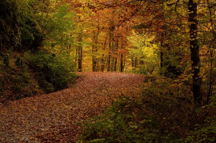 Milany Castle from Vallfogona de Ripollès