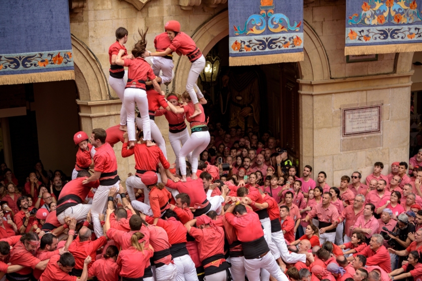 Un viatge a l'univers dels calçots