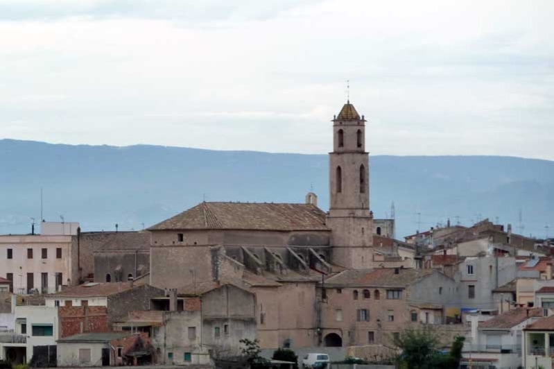Un viatge a l'univers dels calçots